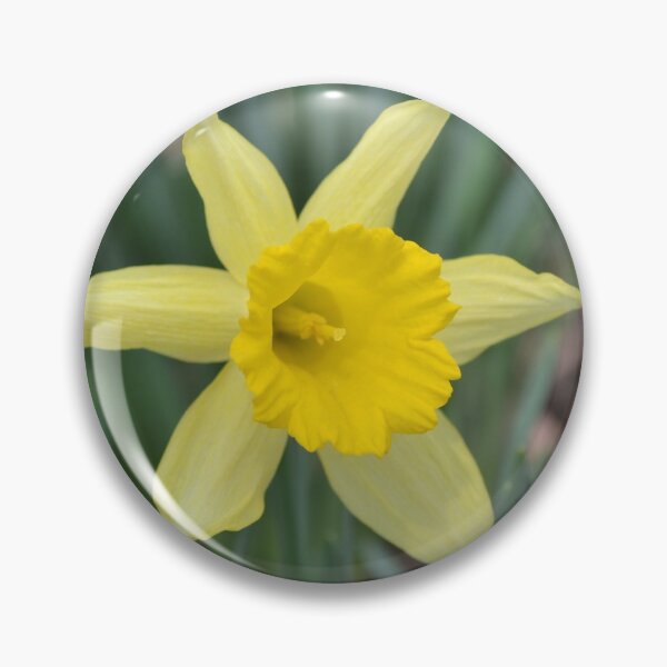 Item preview, Two-Tone Yellow Daffodil designed and sold by Kathleen Brant.