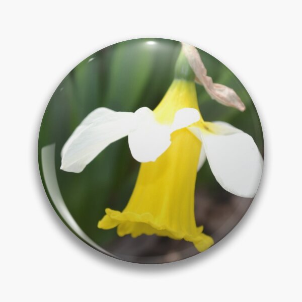 Item preview, Bowed White and Yellow Daffodil designed and sold by Kathleen Brant.