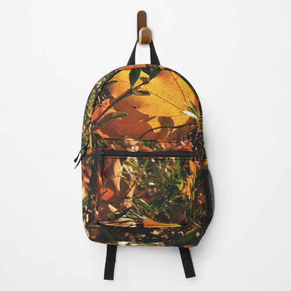 Item preview, Sun shines trough autumn leaves - The colors of autumn - Photography designed and sold by greatnorris.