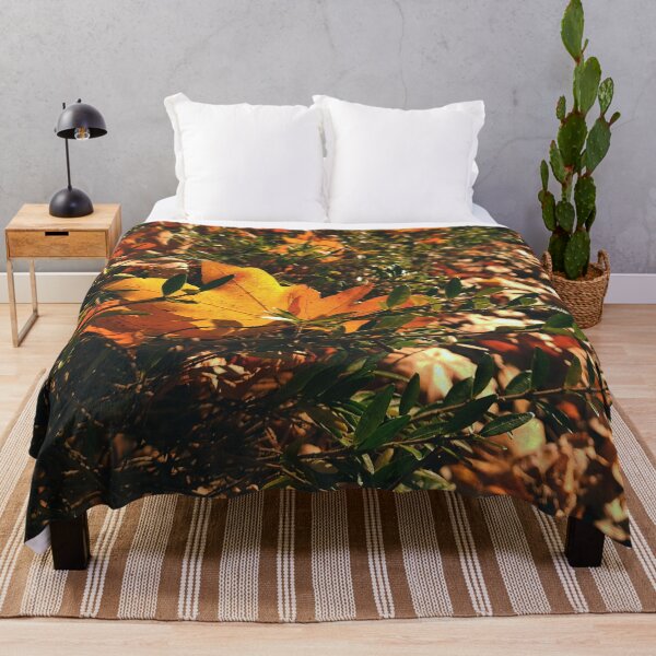 Item preview, Sun shines trough autumn leaves - The colors of autumn - Photography designed and sold by greatnorris.