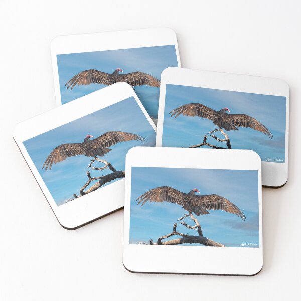 Item preview, Turkey Vulture Perched in a Dead Tree designed and sold by Jeff Goulden Photography.