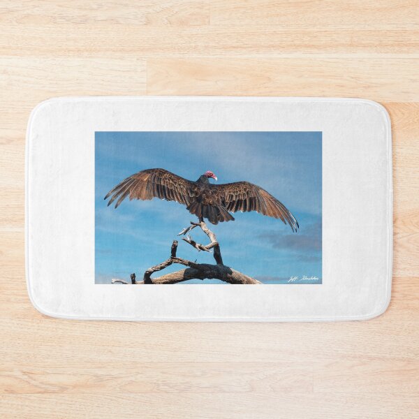Item preview, Turkey Vulture Perched in a Dead Tree designed and sold by Jeff Goulden Photography.