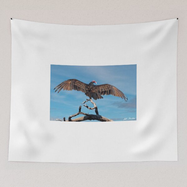Item preview, Turkey Vulture Perched in a Dead Tree designed and sold by Jeff Goulden Photography.