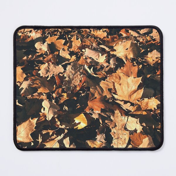 Item preview, Fallen autumn leaves in the sun - Colors of Autumn - Photography designed and sold by greatnorris.