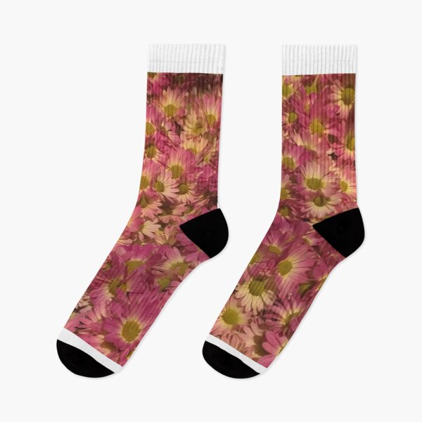 Item preview, Pink and lavender Daisies - New York City -  lots of blooms! designed and sold by Kathleen Douglas.