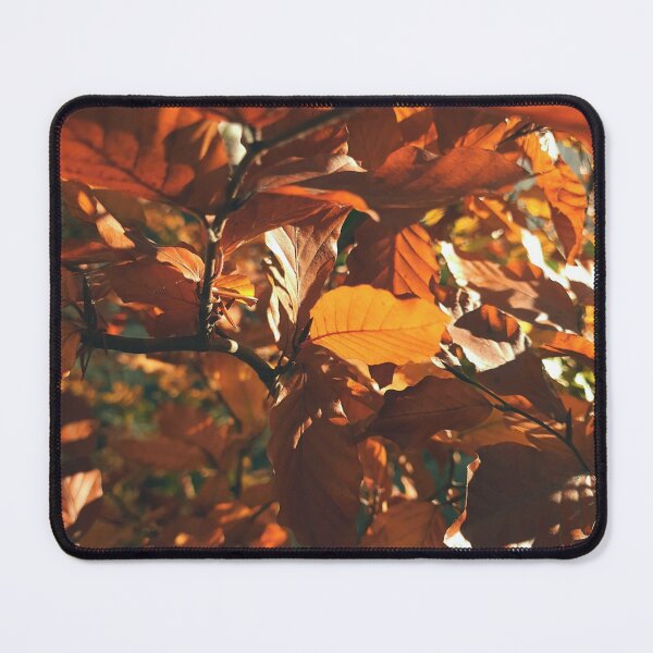 Item preview, in the sun - The colors of autumn - Photography designed and sold by greatnorris.