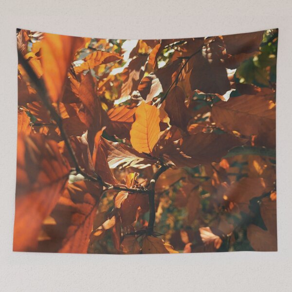 Artikelvorschau, in der Sonne - Die Farben des Herbstes - Fotografie entworfen und verkauft von greatnorris.