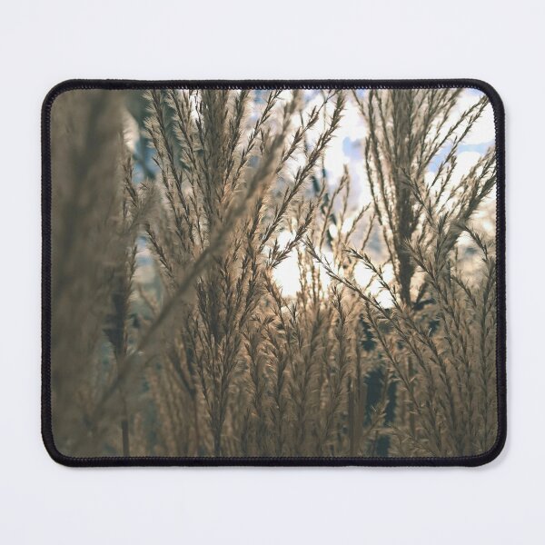Item preview, Maiden silvergrass in the autumn sun designed and sold by greatnorris.