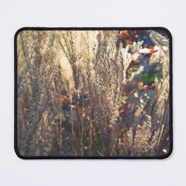 Item preview, Maiden silvergrass in the autumn sun designed and sold by greatnorris.