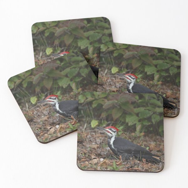 Item preview, Pileated Woodpecker designed and sold by mlorenz.