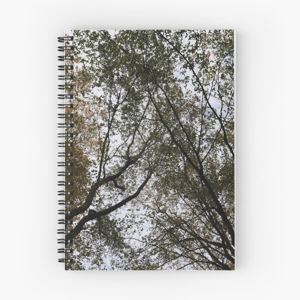 Item preview, tree tops designed and sold by bobwassy1234.