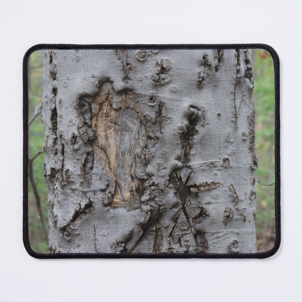 Item preview, tree trunk designed and sold by bobwassy1234.