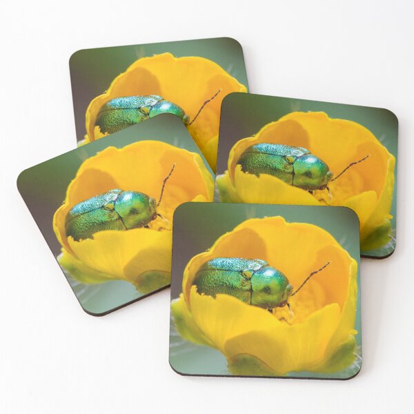 Item preview, Beetle in buttercup flower designed and sold by BVNaturePhotos.