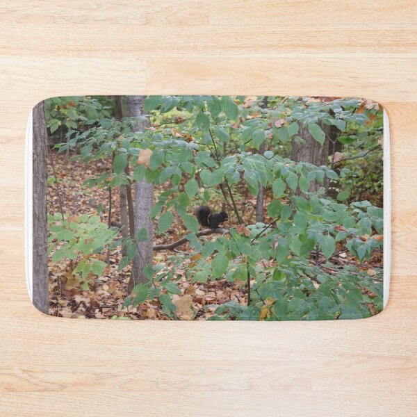 Item preview, black squirrel designed and sold by bobwassy1234.