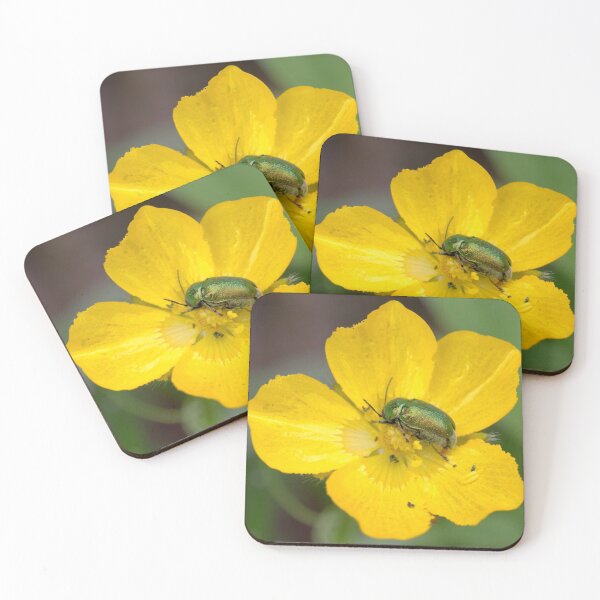 Item preview, Beetle in buttercup flower designed and sold by BVNaturePhotos.