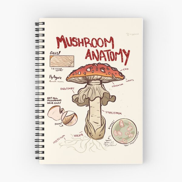 Item preview, Mushroom Anatomy designed and sold by buggbuzz7.
