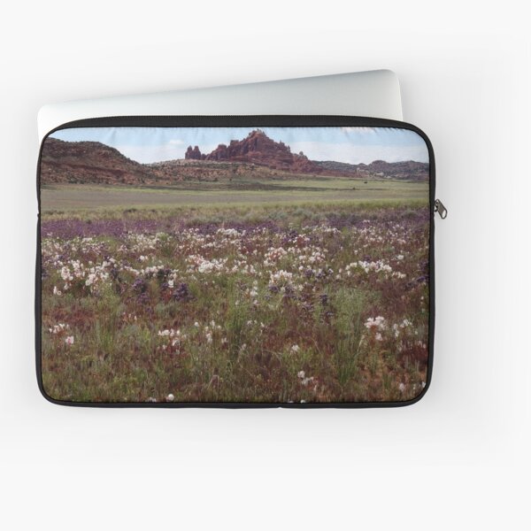 Beauty - when it's gone Laptop Sleeve