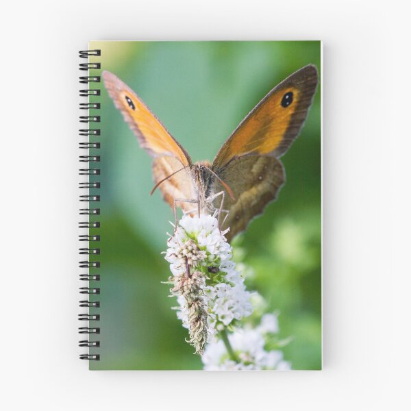 Item preview, Butterfly gathering mint flowers with a small beetle designed and sold by BVNaturePhotos.