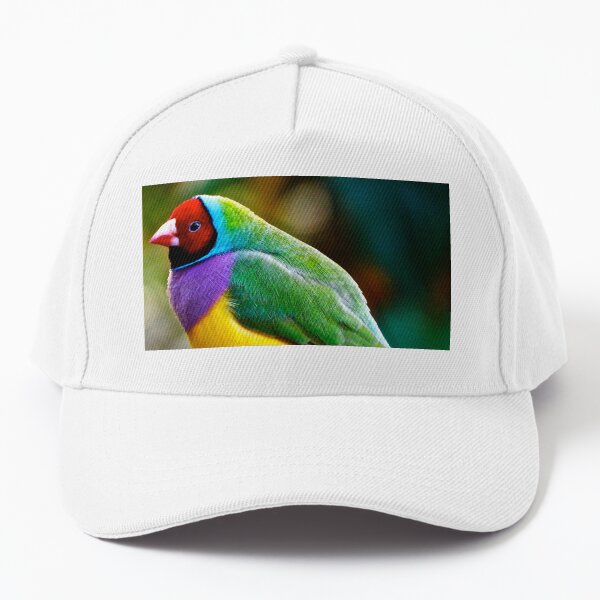Australian Gouldian Finch; an Endangered Species Baseball Cap