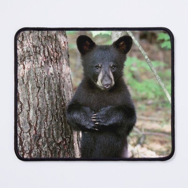 Item preview, Little Cub designed and sold by mlorenz.