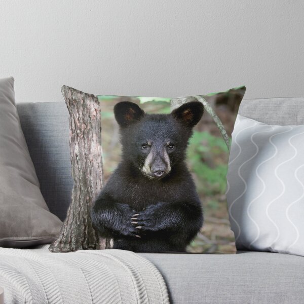 Item preview, Little Cub designed and sold by mlorenz.