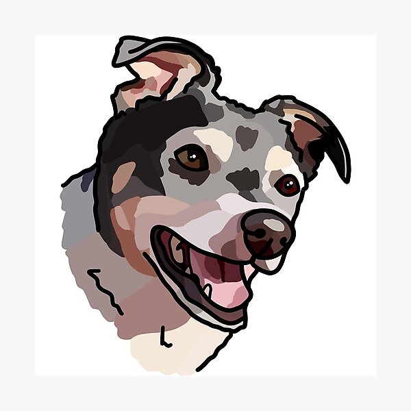 Happy Doggo Photographic Print