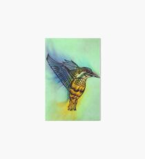 Kingfisher Art Board