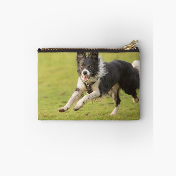 Item preview, Joyful Border Collie designed and sold by Sue Dudley.