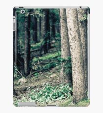Trees iPad Case/Skin