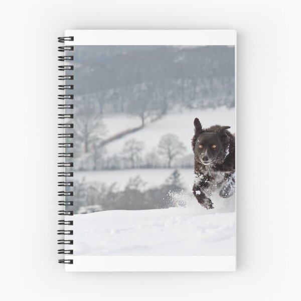Item preview, Winter Walkies designed and sold by Sue Dudley.