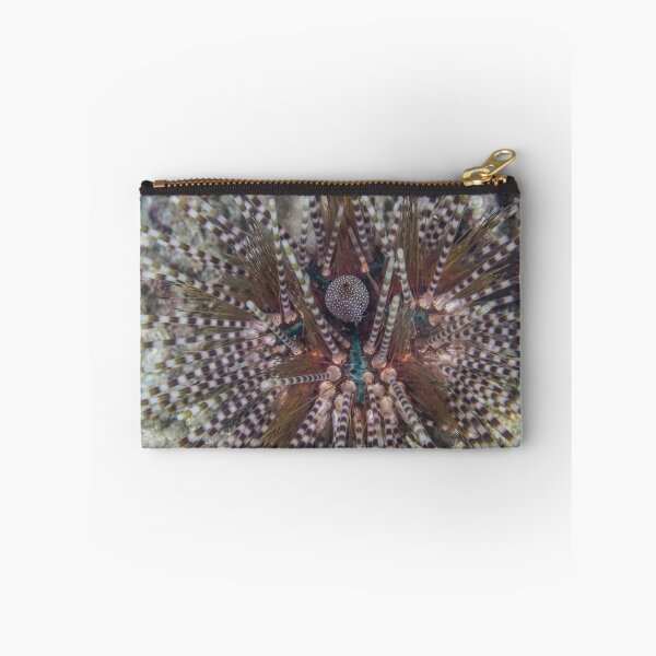 Item preview, Striped Urchin designed and sold by Mark Rosenstein.