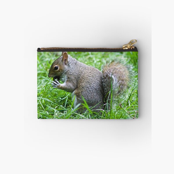 Item preview, Squirrel eating nut designed and sold by ejrphotography.