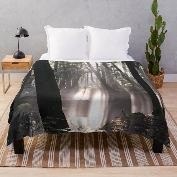 Item preview, Shadows and Sunbeams Photograph Design by Roller Studios designed and sold by RollerStudios.
