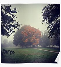 Paysage. Poster