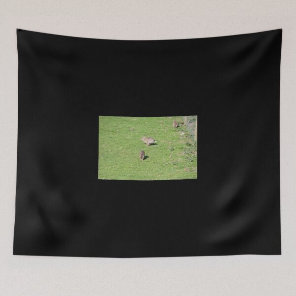 Item preview, Conejos salvajes designed and sold by Malcolm Snook.