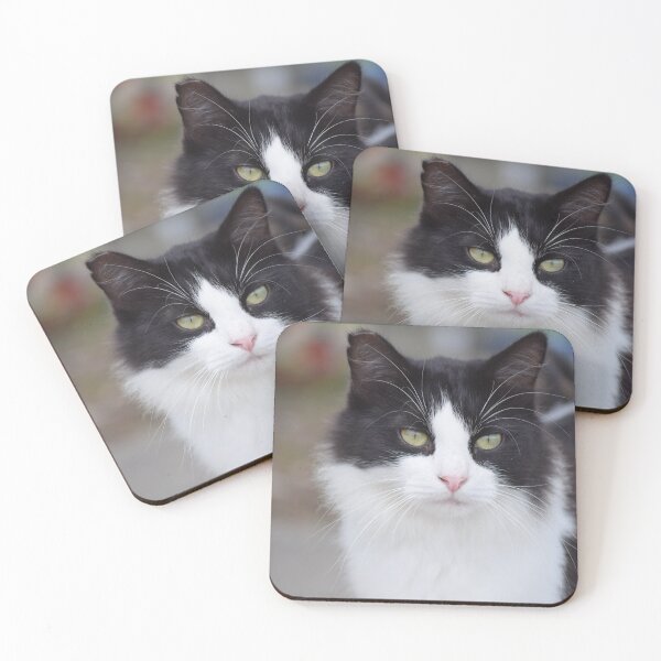 Item preview, black and white cat designed and sold by sarelitay.