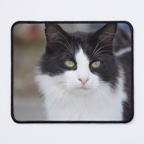 Item preview, black and white cat designed and sold by sarelitay.