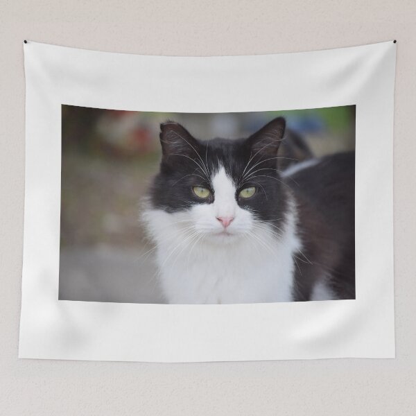 Item preview, black and white cat designed and sold by sarelitay.