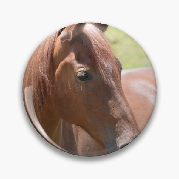 Item preview, sorrel horse designed and sold by sarelitay.