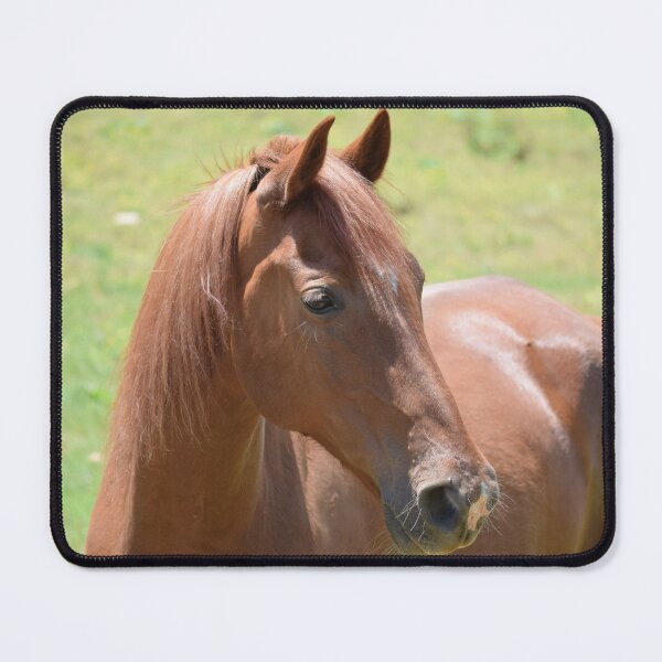 Item preview, sorrel horse designed and sold by sarelitay.