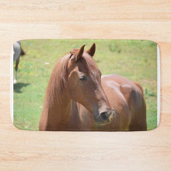 Item preview, sorrel horse designed and sold by sarelitay.