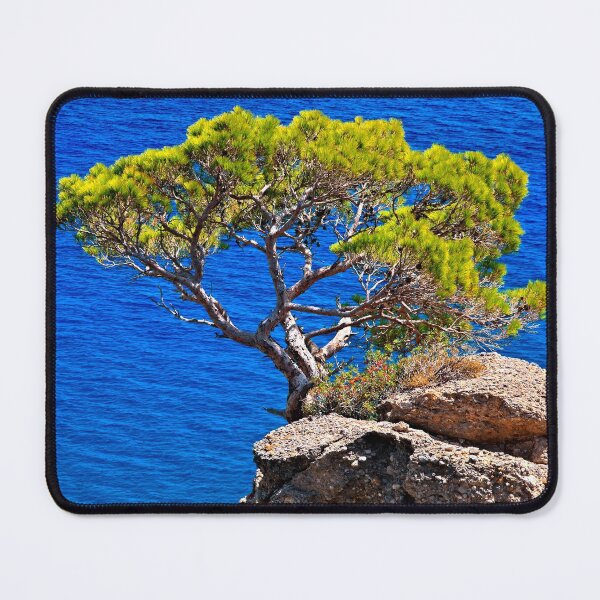 Item preview, That enviable tree designed and sold by Hercules Milas.