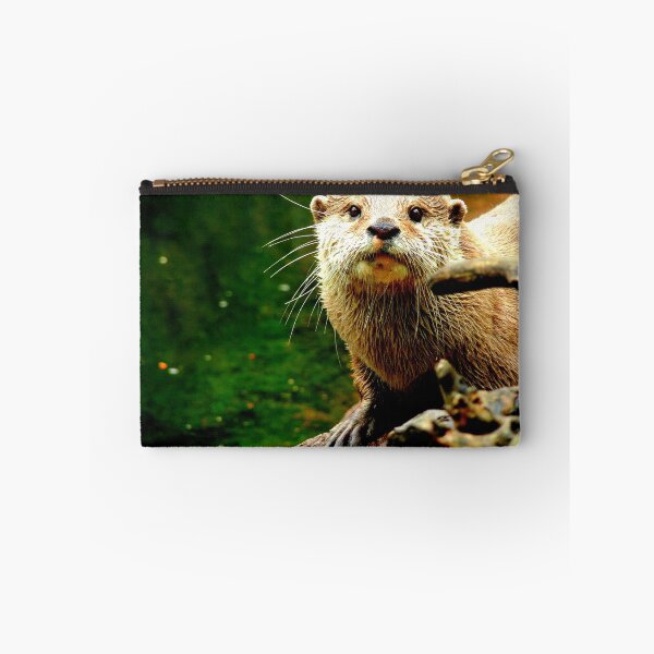Item preview, Peeking Otter designed and sold by Barnbk02.