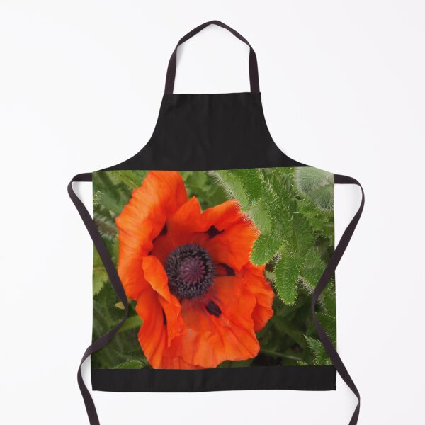 Aperçu de l'œuvre The Beautiful Poppy créée et vendue par Joanne Babb.