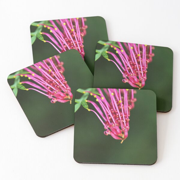 Item preview, Australian Grevillea Flower Pink designed and sold by Joy Watson - Natural Light Photography .
