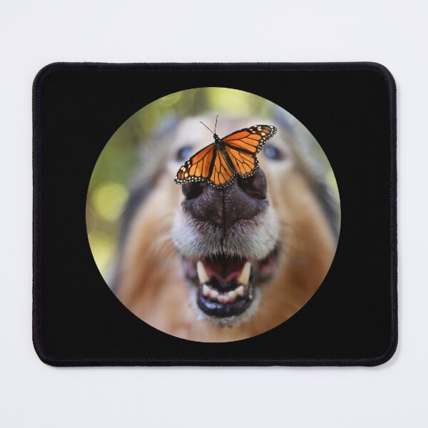 Item preview, Monarch butterfly art designed and sold by PF-creations.