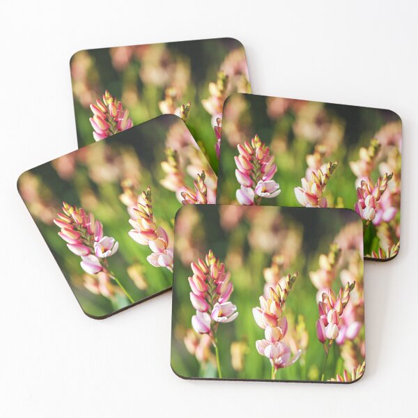 Item preview, African Corn Lily Flowering designed and sold by Joy Watson - Natural Light Photography .