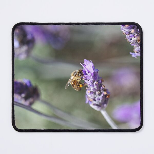 Item preview, The Lavender Loving Bee designed and sold by Joy Watson - Natural Light Photography .