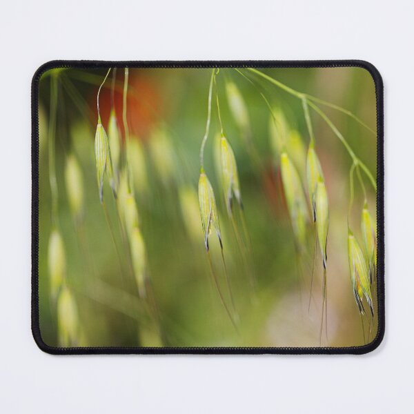 Item preview, Needle Grass Blooms designed and sold by Joy Watson - Natural Light Photography .