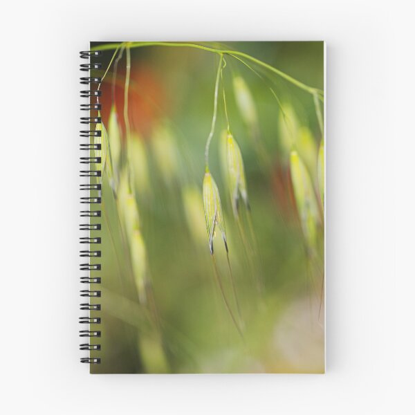 Item preview, Needle Grass Blooms designed and sold by Joy Watson - Natural Light Photography .